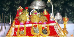 Group Package for Shimla Manali